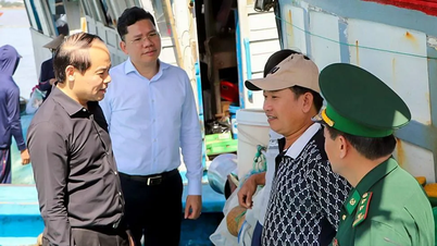 Ciudad Ho Chi Minh une fuerzas para levantar la "tarjeta amarilla" de la pesca INDNR