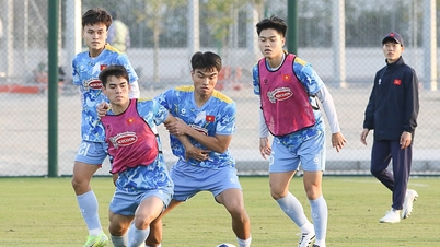 Echipa Vietnam U23 a susținut ultima sesiune de antrenament în Qatar, pregătindu-se pentru Campionatul Asiatic AFC U23 din 2026.