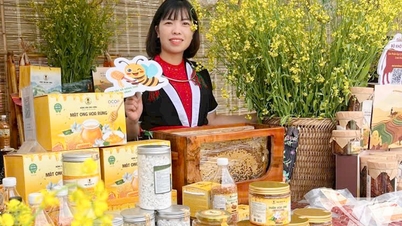 'Gom vị ngọt' làm giàu trên đất Linh Sơn