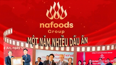 Groupe Nafoods : Une année riche en étapes marquantes
