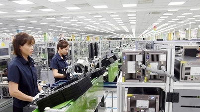 Ciudad Ho Chi Minh: Reestructuración y mejora de la calidad de la industria manufacturera.