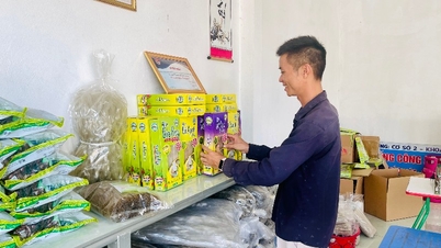 Către o economie verde durabilă și o agricultură comercială.