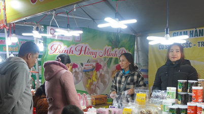 Le festival animé de la cuisine de rue de Pleiku