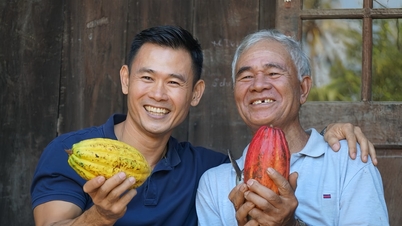 សេចក្តីប្រាថ្នាបៃតងរបស់សហគ្រិនខេត្តក្វាងណាមនៅតំបន់ខ្ពង់រាបកណ្តាល។