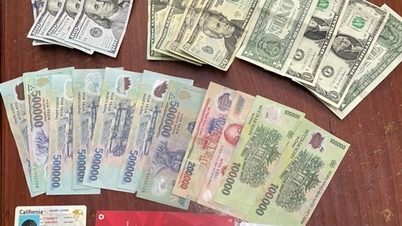 غالباً ما يترك ركاب القطارات أقراطاً وقلائد ذهبية في أكياس القمامة.