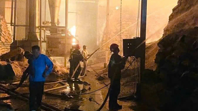 Cassava processing plant catches fire overnight in Lao Cai.