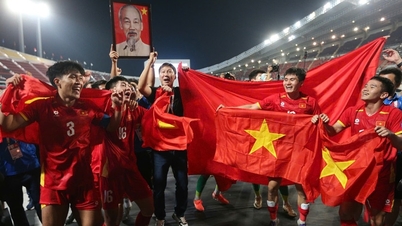 Vietnamesisk fotball 2026: Legger det historiske grunnlaget for et gjennombrudd til kontinental fremtredende plass.