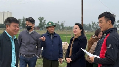 The Qing Dynasty focused its efforts on the "front" of land clearance, creating momentum for development.