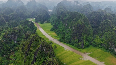 Ninh Binh: Membangkitkan "warisan dinamik" daripada sungai-sungai purba.