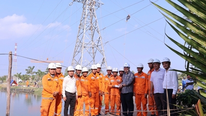Ngành điện miền Nam: Xuyên Tết Dương lịch để bám công trường