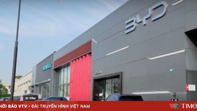 Kenderaan elektrik China sedang meninggalkan "zon selesa" mereka.