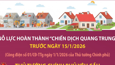 Thủ tướng yêu cầu: Nỗ lực hoàn thành Chiến dịch Quang Trung trước ngày 15/1/2026