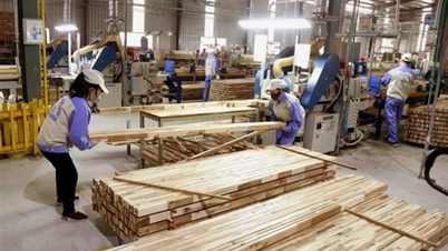 Ajuste de las políticas de impuestos a la importación de madera a los Estados Unidos.