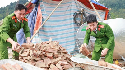 Giúp dân sửa nhà sau bão