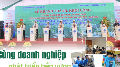 العمل معاً من أجل تنمية الأعمال التجارية المستدامة.