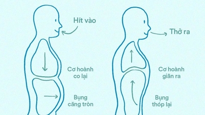 5 sfaturi simple care te vor ajuta să obții o talie mai subțire după menopauză.