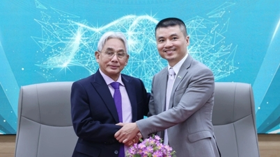 Overview of the cooperation signing ceremony between Dan Tri Newspaper and Cuu Long University.