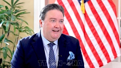 Ambasador Marc Knapper: Współpraca gospodarcza, handlowa i inwestycyjna jest kluczowym elementem relacji Wietnamu i USA.