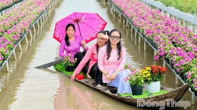 จำนวนนักท่องเที่ยวในดงทับเพิ่มขึ้นอย่างเห็นได้ชัดในช่วงวันหยุดปีใหม่ปี 2026