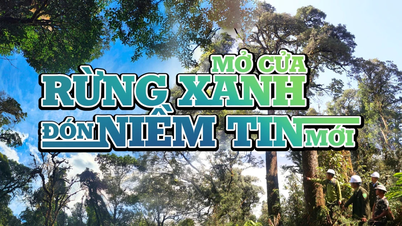 Mở cửa rừng xanh đón niềm tin mới