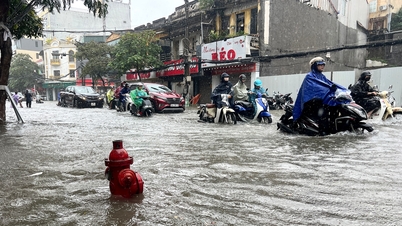Cảnh báo triều cường gây ngập lụt vùng ven sông của Hải Phòng