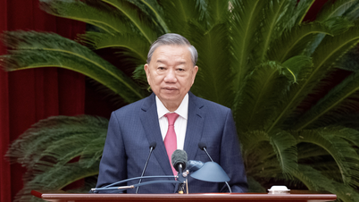汚職、浪費、悪質な慣行と闘うという事務総長の決意を 10 語で述べます。