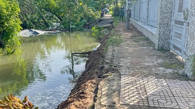 Năm 2025, thiên tai gây thiệt hại gần 40 tỉ đồng trên địa bàn TP Cần Thơ