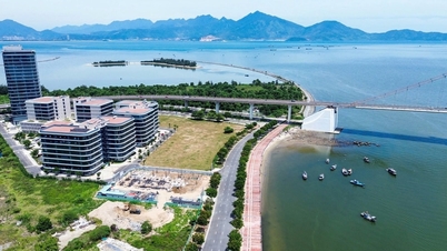 Kinh tế Đà Nẵng 2026 sẽ bứt tốc mạnh mẽ, khẳng định vị thế cực tăng trưởng của Việt Nam
