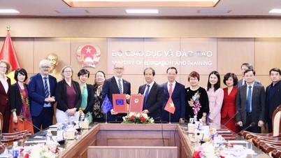 สหภาพยุโรปให้เงินสนับสนุนกว่า 50 ล้านยูโรเพื่อช่วยเวียดนามปรับปรุงระบบการฝึกอบรมวิชาชีพและพัฒนาแรงงานที่มีทักษะ