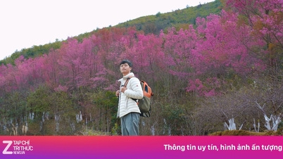 Sa Pa, Mù Cang Chải 'bội khách'