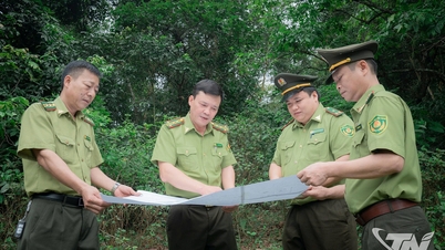 풀뿌리 차원에서 숲을 보호하는 것은 매우 힘든 일입니다.