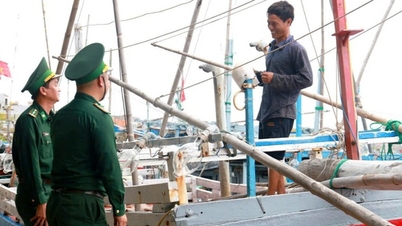 ダクラクは、できるだけ早くIUU「イエローカード」を解除するために、国内の他地域に加わることを決意している。