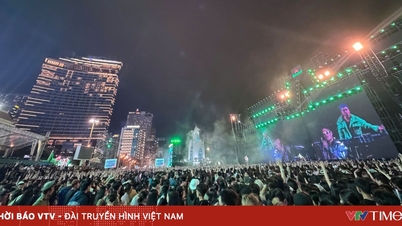 O longo período de férias proporciona um impulso, tornando o turismo em Khanh Hoa vibrante desde o início de 2026.