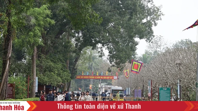 គោលដៅទេសចរណ៍ខាងវិញ្ញាណនៅខេត្តថាញ់ហ័រទាក់ទាញភ្ញៀវទេសចរជាច្រើនក្នុងឱកាសបុណ្យចូលឆ្នាំថ្មី។