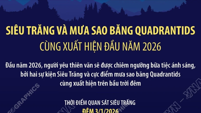 Der Supermond und der Meteorstrom der Quadrantiden werden beide Anfang 2026 zu sehen sein.