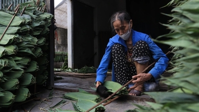 Een soort blad dat vroeger werd weggegooid, wordt nu geëxporteerd en levert de Vietnamese bevolking bijna 12 miljoen dollar op.