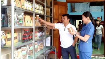 Провинция Куанг Нгай поддерживает продвижение и продажу продукции OCOP.