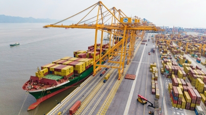 Portul maritim Hai Phong este plin de activitate, deoarece primește nave la începutul anului.