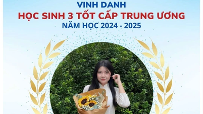 Lao Cai: 29 estudiantes recibieron el título de "Tres buenos estudiantes" a nivel central.