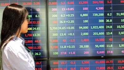 ¿Qué debes tener en cuenta al invertir en acciones en 2026?