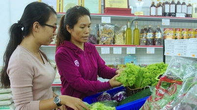 Покупка и продажа сырой сельскохозяйственной продукции освобождаются от налога на добавленную стоимость.