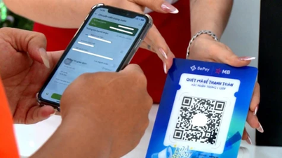 „Rutele de plată fără numerar” contribuie la promovarea economiei digitale.