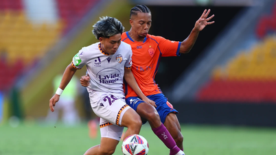 Bintang Vietnam-Australia bersinar dalam liga utama Australia.