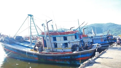 Cả nước đã khởi tố 91 vụ án hình sự vi phạm IUU