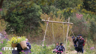 A Hmong Fuvolafesztivál megnyitó ünnepsége - Tớ Dày Virágfesztivál 2026