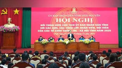 タイグエンは戦略的投資の波を歓迎する準備ができています。