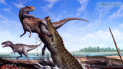Откройте для себя гигантского доисторического крокодила Deinosuchus schwimmeri.