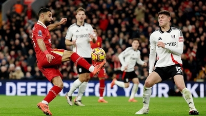Previa del partido: Fulham vs Liverpool (22:00, 4 de enero), Premier League 2025-2026