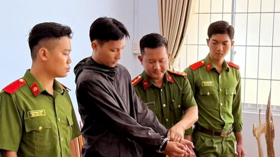 ผู้ต้องสงสัยถูกจับกุมในคดีฉ้อโกงเกี่ยวกับการเช่าบ้านในเกาะฟู้โกว๊ก