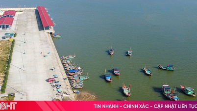 হা তিন টেকসই এবং দায়িত্বশীল মৎস্য চাষ বিকাশ করে।